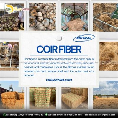  Cocofiber – Den hållbara fibern för en cirkulär framtid inom jordbruk och trädgård!