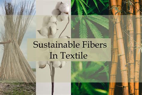 Hemp: En Utbredbar Naturfiber för Textilindustrin och Biokompositer!