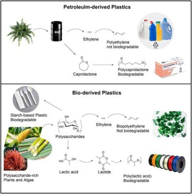 Lactic Acid - En nyckelkomponent för hållbar bioplastikproduktion!